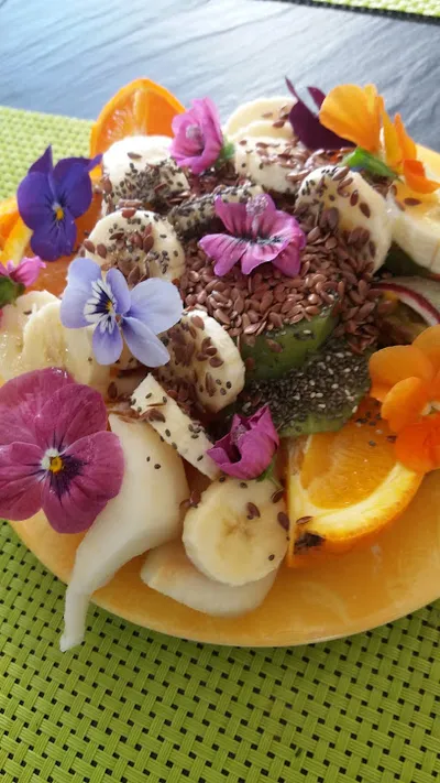 Aux Délices de la Nature - Restaurant - Traiteur BIO - Cuisine Végétarienne - Plantes Sauvages