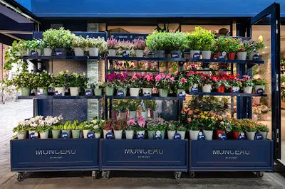 Monceau Fleurs
