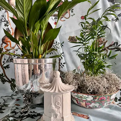 The Sarah Grace Shoppe