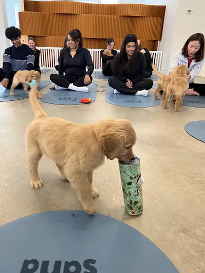 PupsYoga Vancouver